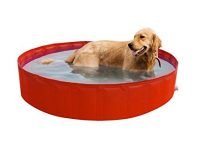 Dog Pool - Maison B Hotel by Hotel Patrizia & Residenza - Rimini