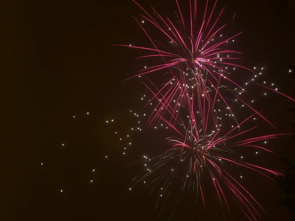 Nell'immagine, dei fuochi d'artificio.